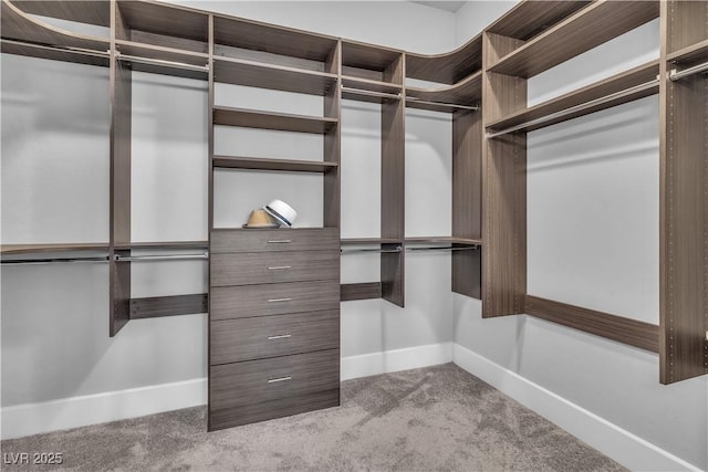 spacious closet featuring light colored carpet