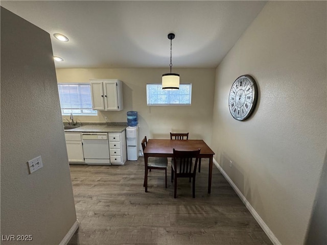 dining room featuring sink and wood-type flooring