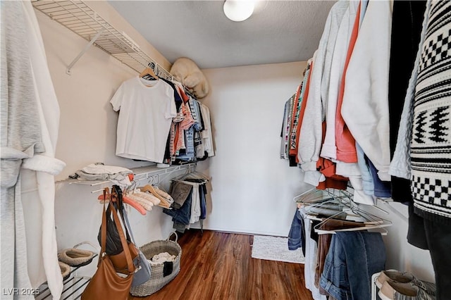 walk in closet featuring dark wood-type flooring