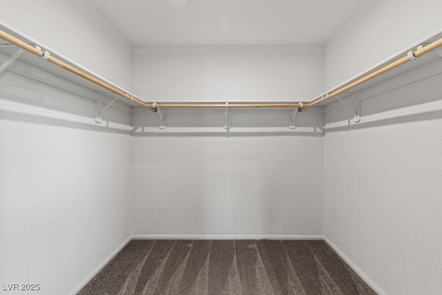 walk in closet with dark carpet