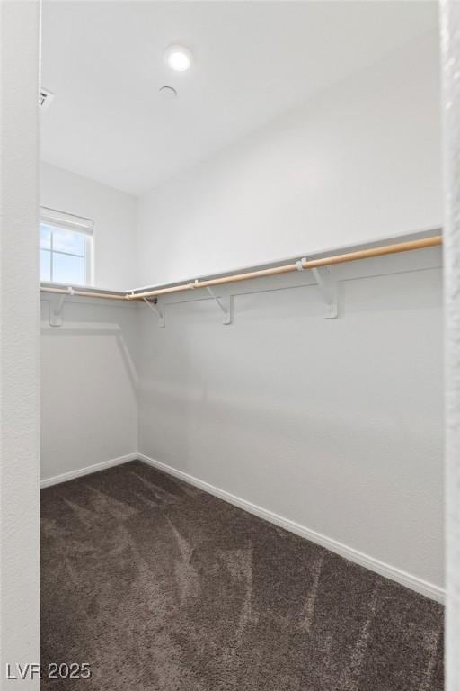 spacious closet with dark colored carpet