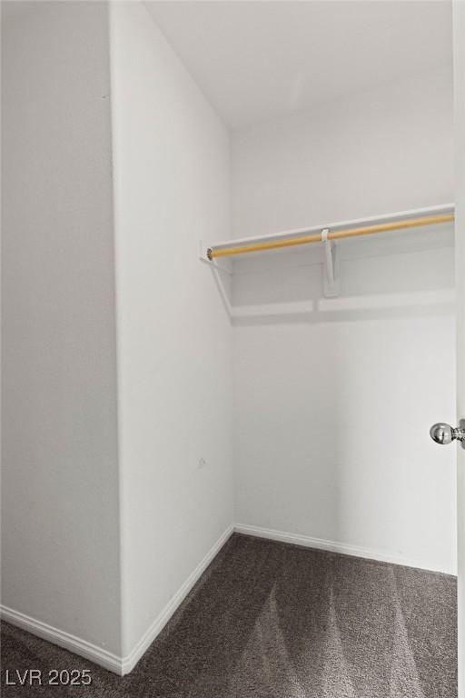 walk in closet featuring carpet