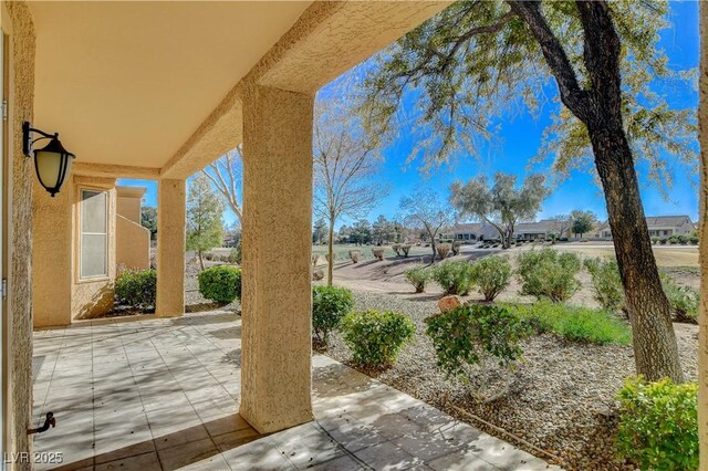 view of yard with a patio