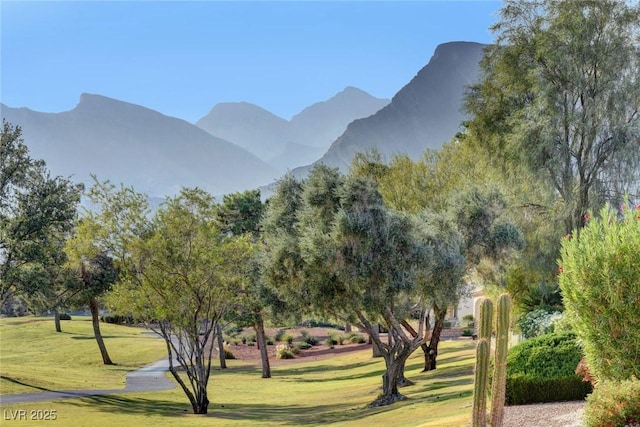 view of home's community featuring a mountain view and a lawn