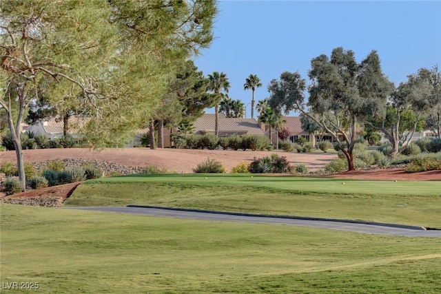 view of home's community with a yard