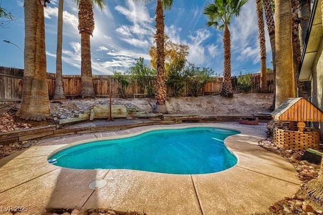 view of pool featuring a patio area