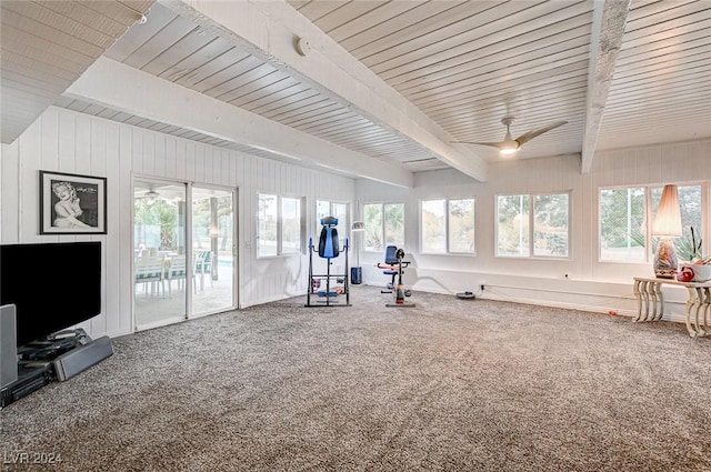 workout area with carpet, ceiling fan, and a healthy amount of sunlight