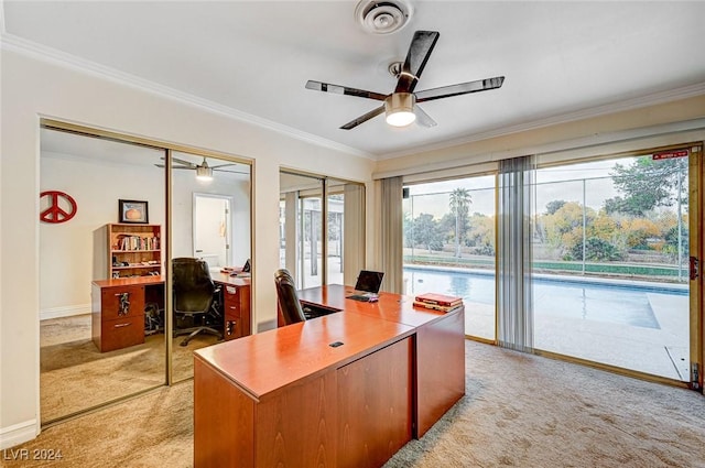 office with light carpet, ceiling fan, and ornamental molding