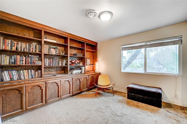 living area featuring baseboards and light colored carpet