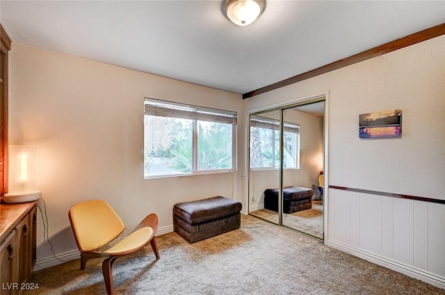 living area with light colored carpet