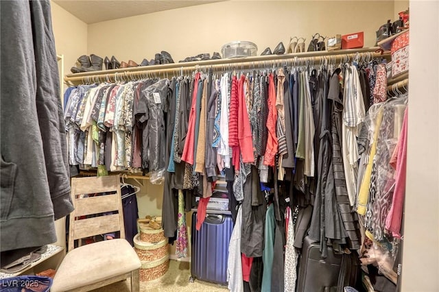 spacious closet featuring carpet flooring