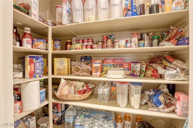 view of pantry