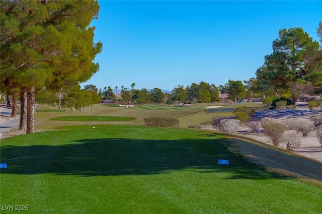 view of property's community featuring a lawn