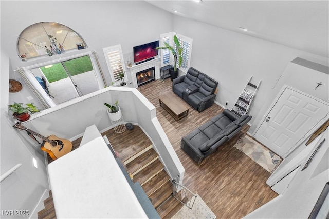 living room with a high ceiling, a fireplace, and wood-type flooring