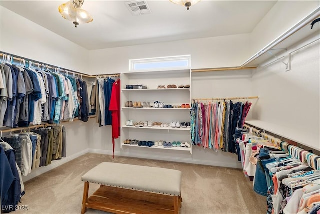 spacious closet with light carpet