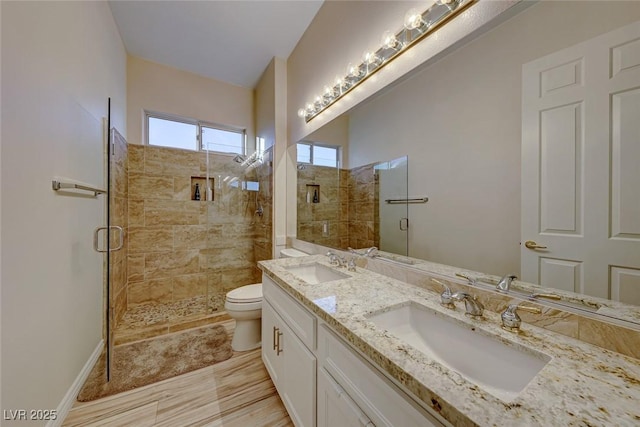 bathroom with vanity, toilet, and an enclosed shower