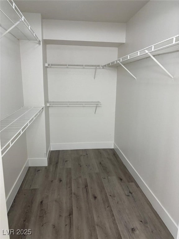 spacious closet featuring dark wood-type flooring