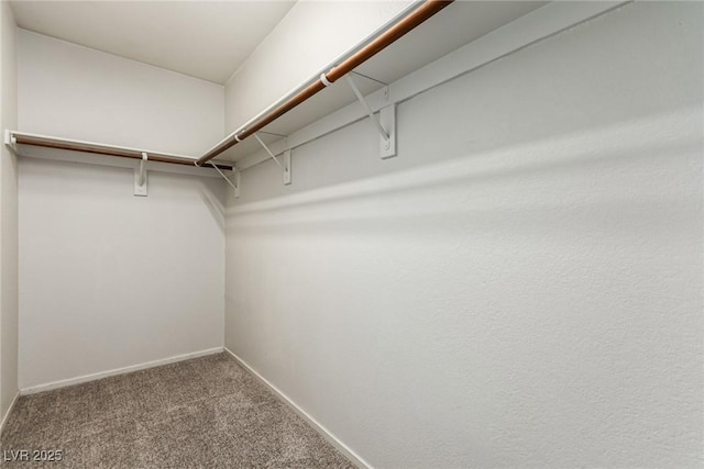 spacious closet with carpet flooring