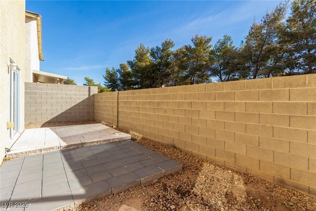 view of yard featuring a patio area