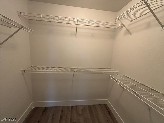 walk in closet with dark hardwood / wood-style flooring