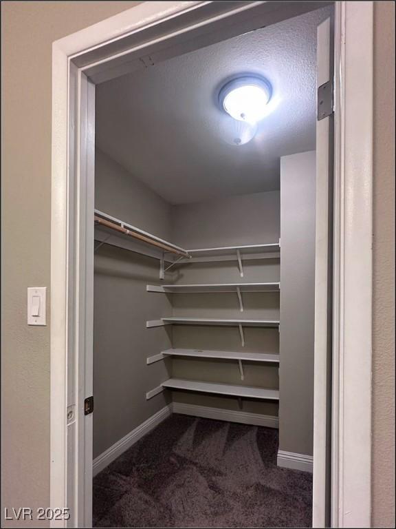 spacious closet featuring dark colored carpet