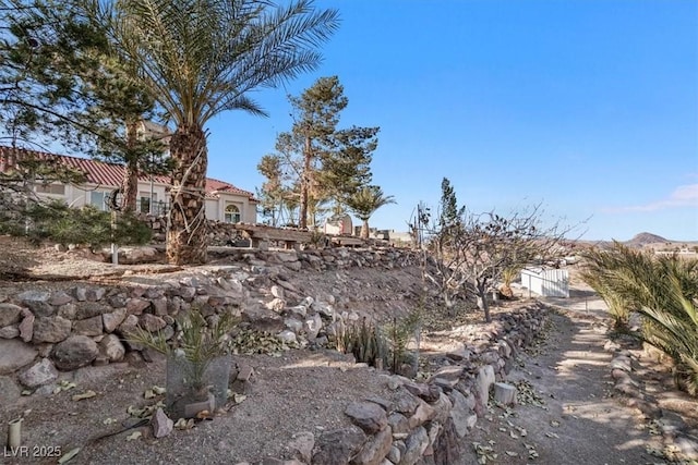 view of yard featuring a mountain view