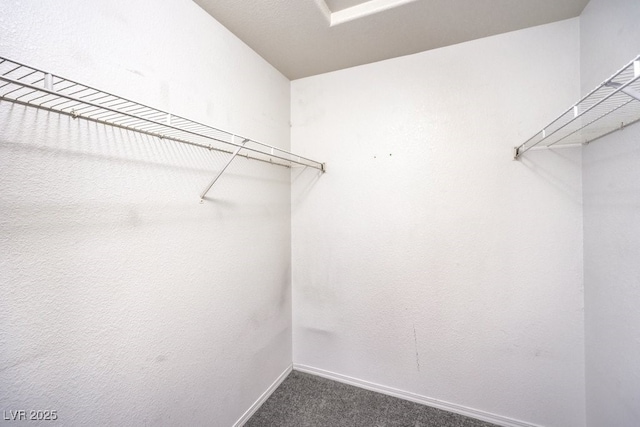 walk in closet featuring dark colored carpet