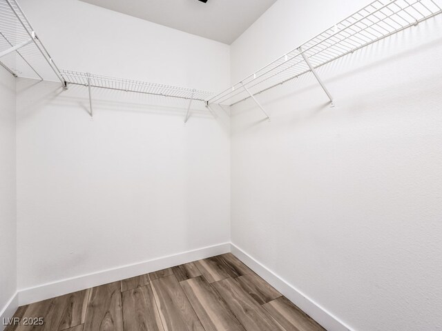 spacious closet with hardwood / wood-style floors