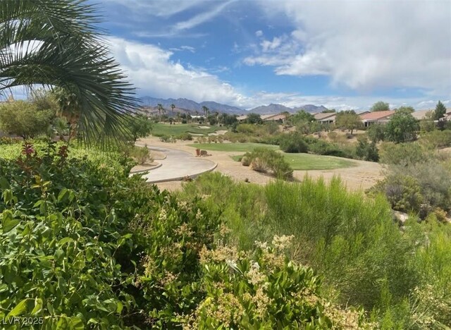 view of community featuring a mountain view