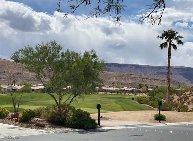 view of community featuring a mountain view and a yard