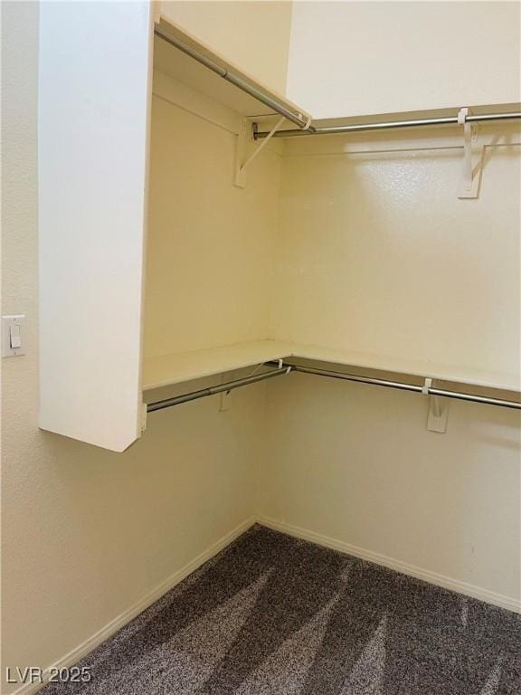 spacious closet featuring carpet