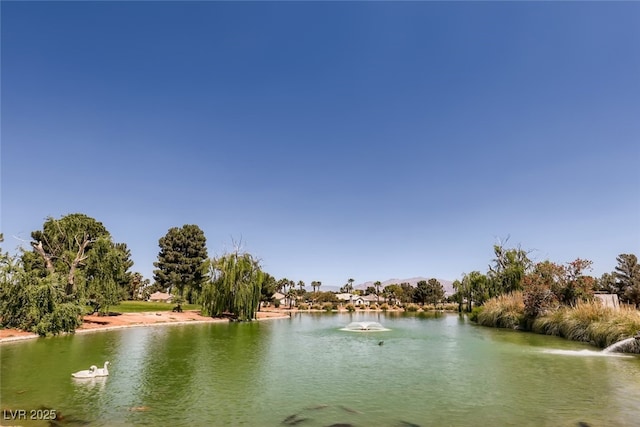 view of water feature