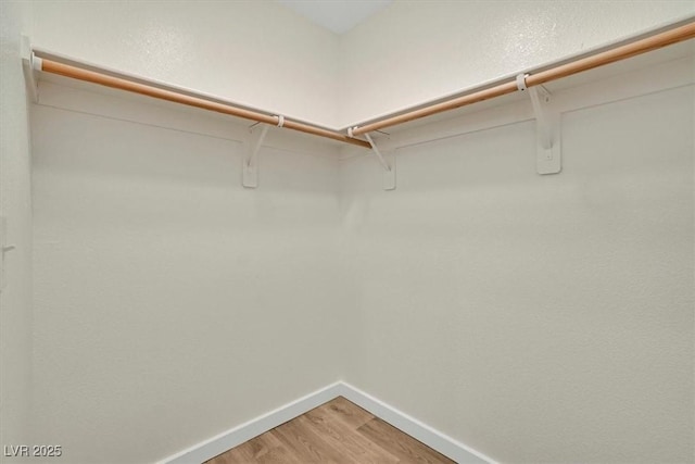 spacious closet featuring hardwood / wood-style flooring