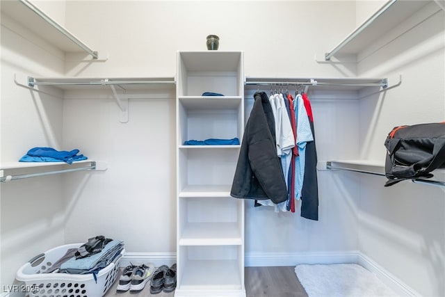 spacious closet with hardwood / wood-style flooring