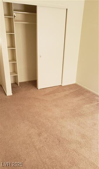 interior space featuring carpet