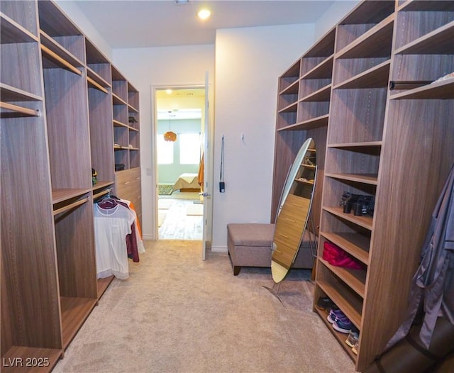 spacious closet with carpet flooring