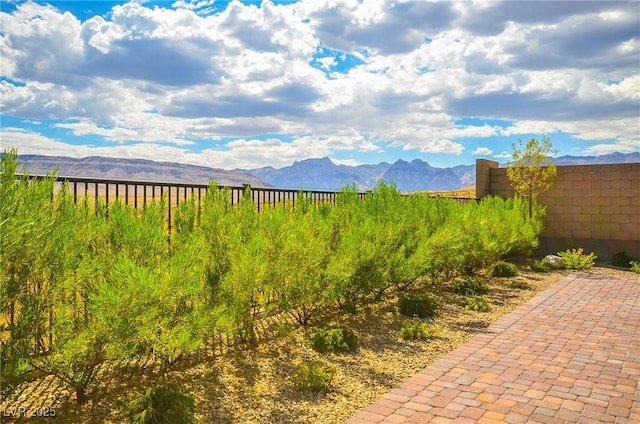 view of yard featuring a mountain view