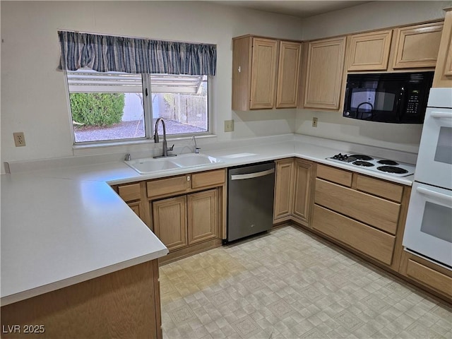 kitchen featuring dishwasher, white gas cooktop, and sink