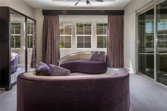 interior space featuring ceiling fan and a healthy amount of sunlight