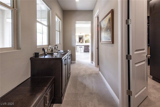 hall with light colored carpet and a healthy amount of sunlight