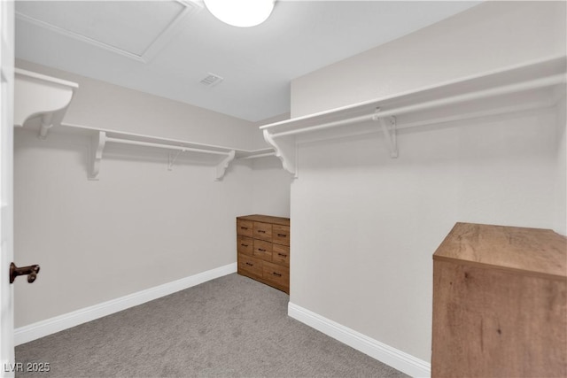 walk in closet featuring carpet floors