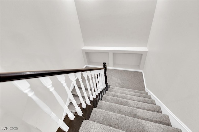 stairs with carpet flooring