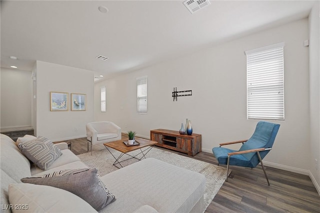 living room with wood-type flooring