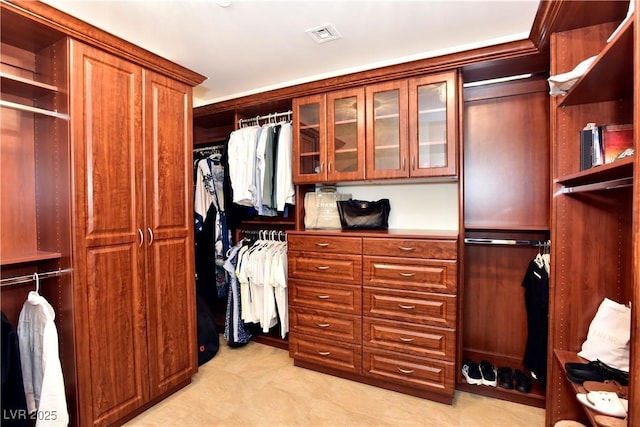 view of spacious closet