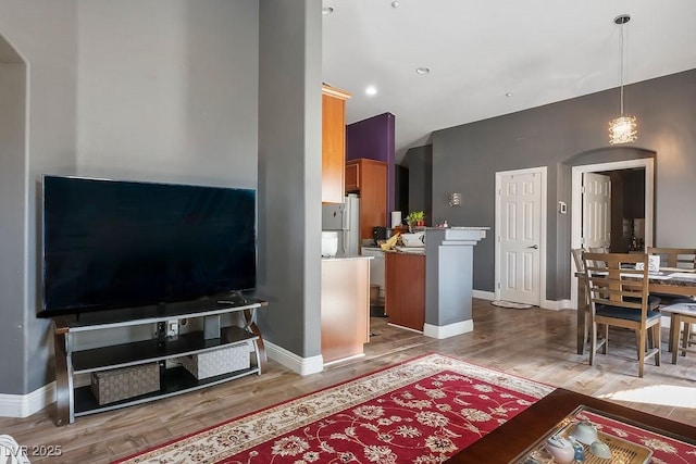 living room featuring wood-type flooring