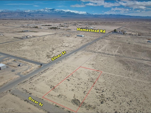 10041 S Oscar St, Pahrump NV, 89048 land for sale