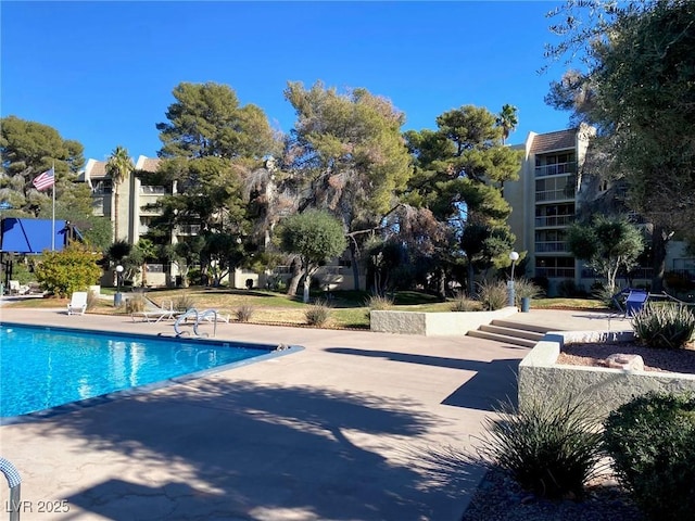 view of swimming pool featuring a patio area