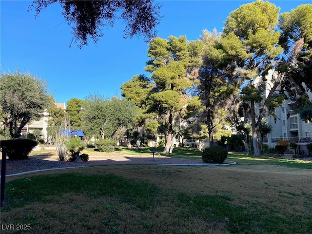 view of property's community featuring a lawn