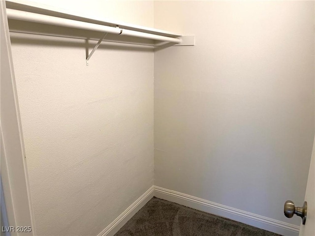 spacious closet featuring carpet