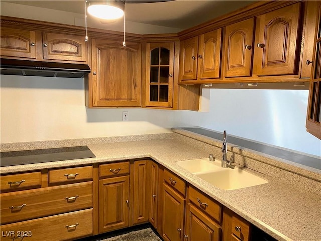 kitchen featuring black electric stovetop and sink